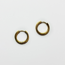 Load image into Gallery viewer, Everyday Hoop Earrings in Gold